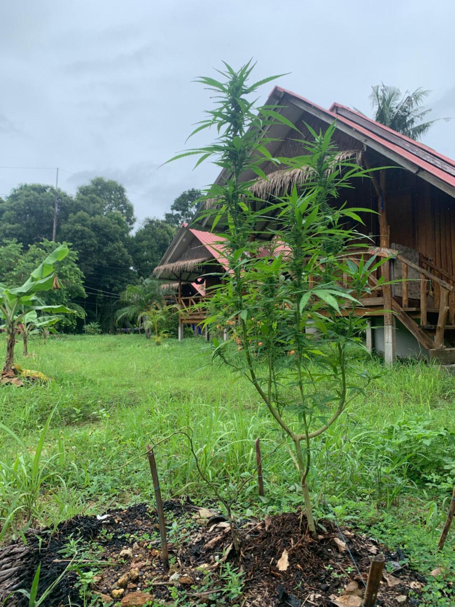 Seree Bungalows & Chill Bar Koh Chang Dış mekan fotoğraf